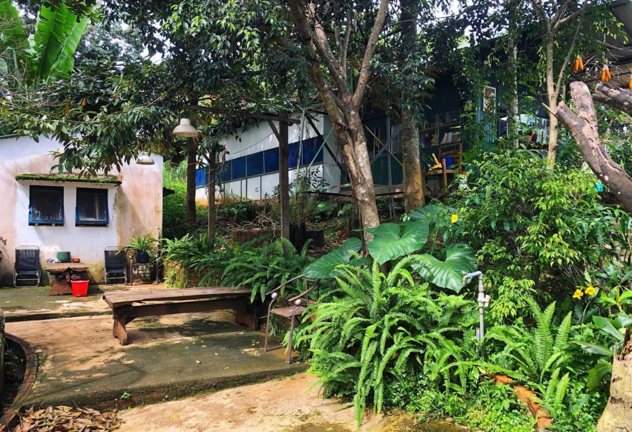 Homestay Bien Rung Gia Nghia Экстерьер фото
